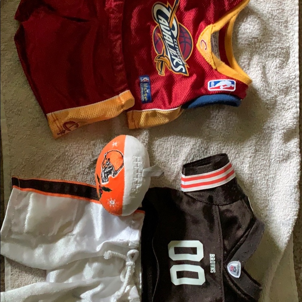Cleveland Cavs and Browns build a bear costumes